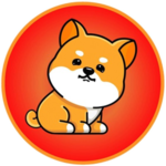 Mini Shiba